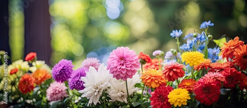 Wallpaper Mural Many flowers of various colors or natural background. Creative banner. Copyspace image Torontodigital.ca