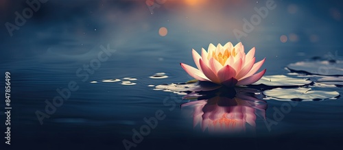 Lotus flower in pond. Creative banner. Copyspace image