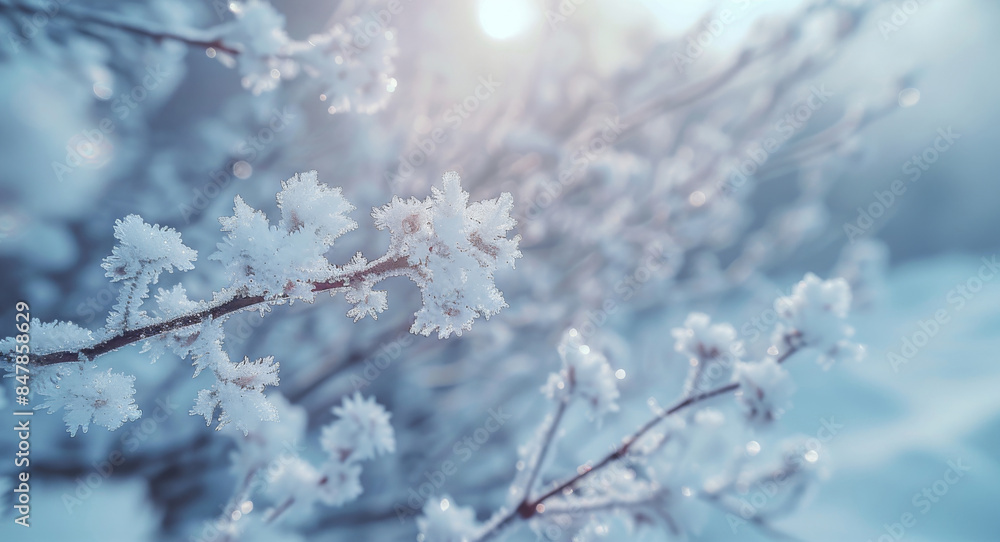 Thick bush branches slightly covered with snow, winter. Generative AI. Thick bush branches slightly covered with snow, winter. Generative AI.