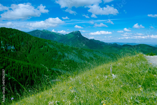 Fototapeta Naklejka Na Ścianę i Meble -  Landscape of beautiful mountains covered with pine forest in Poland
