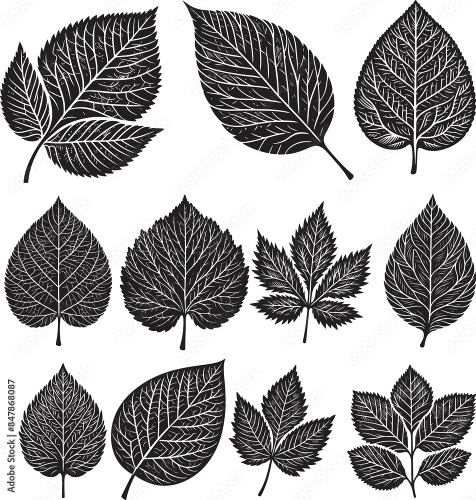 Black Leaf Inked Silhouette Black Leaf Inked Silhouette
