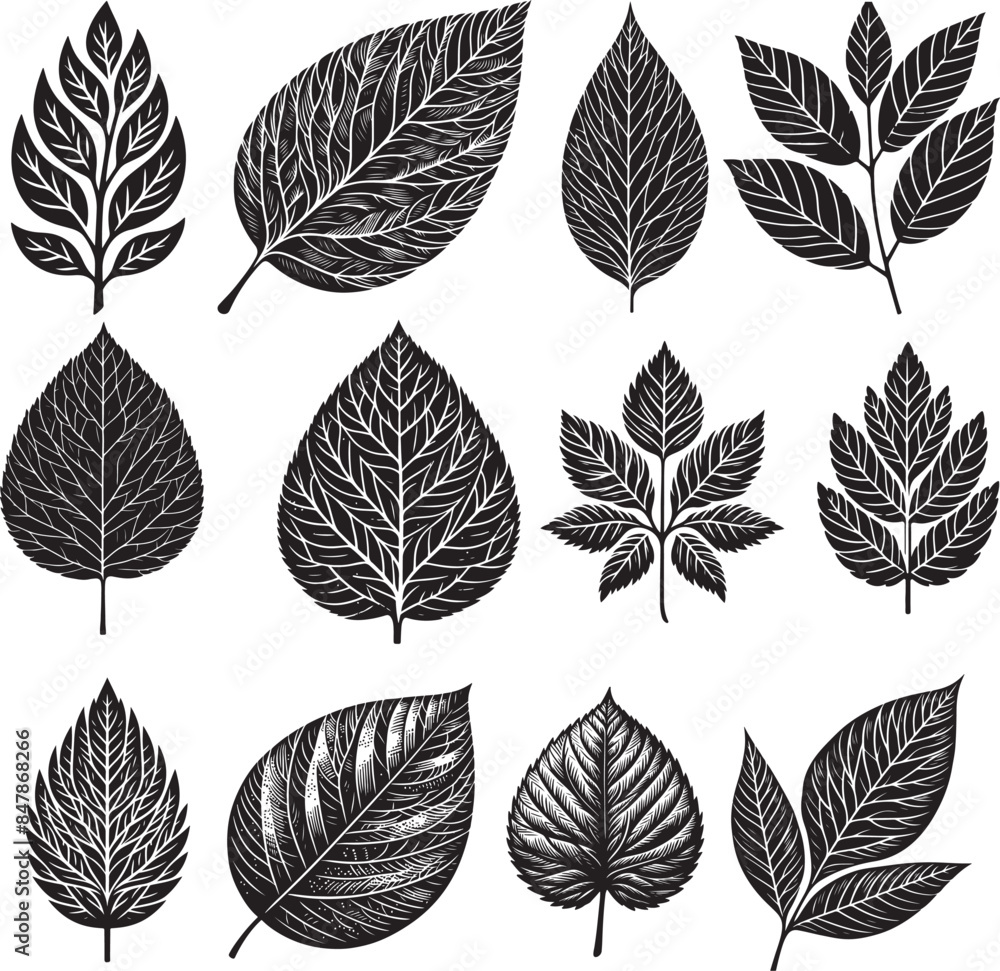 Black Leaf Inked Silhouette Black Leaf Inked Silhouette