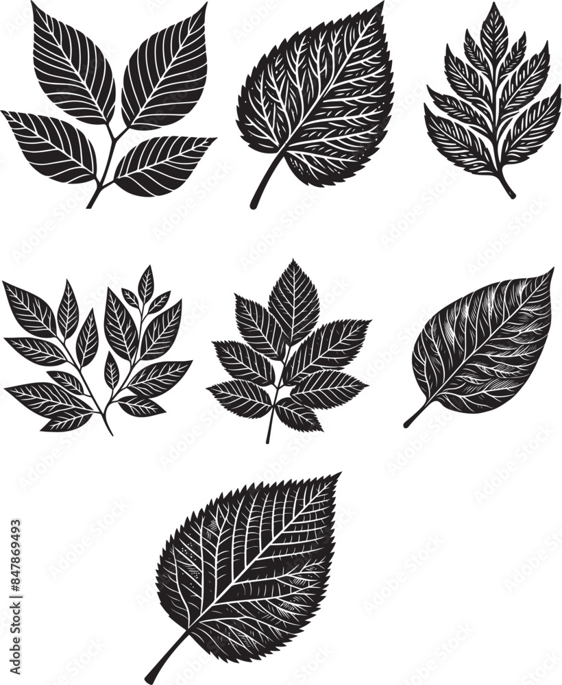 Fototapeta premium Black Leaf Inked Silhouette