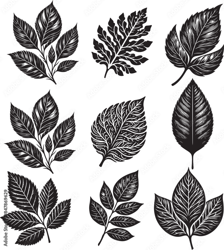 Black Leaf Inked Silhouette Black Leaf Inked Silhouette