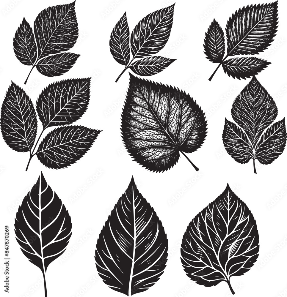 Black Leaf Inked Silhouette Black Leaf Inked Silhouette
