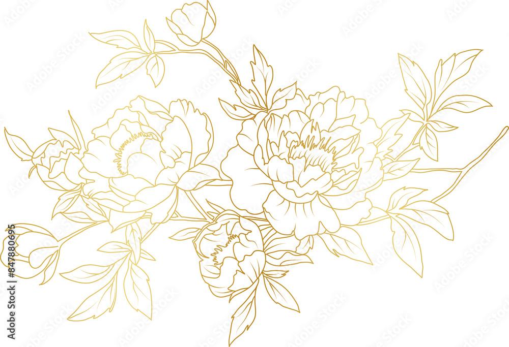 Peony flowers gold line art illustration Peony flowers gold line art illustration