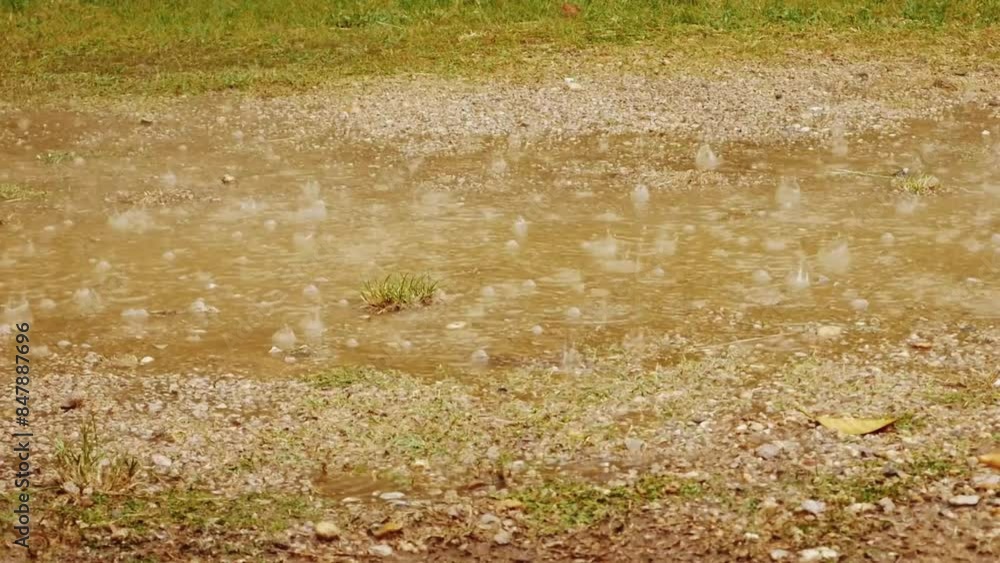 The rain fell heavily on the ground until the water flowed. The rain fell heavily on the ground until the water flowed.