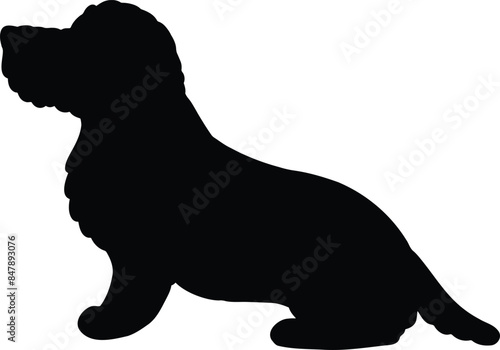 Simple and adorable silhouette of Wire Haired Dachshund sitting in side view photo