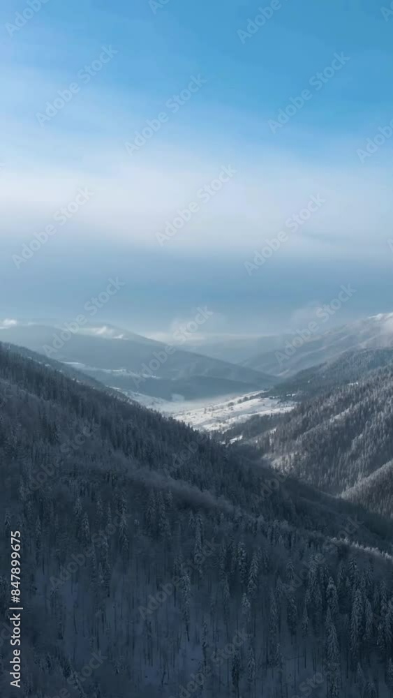 Aerial view of beautiful snow forrest during winter Aerial view of beautiful snow forrest during winter