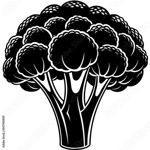Broccoli vector silhouette illustration svg file