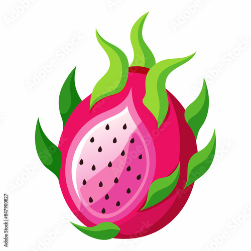 dragon vector artwork illustration svg file