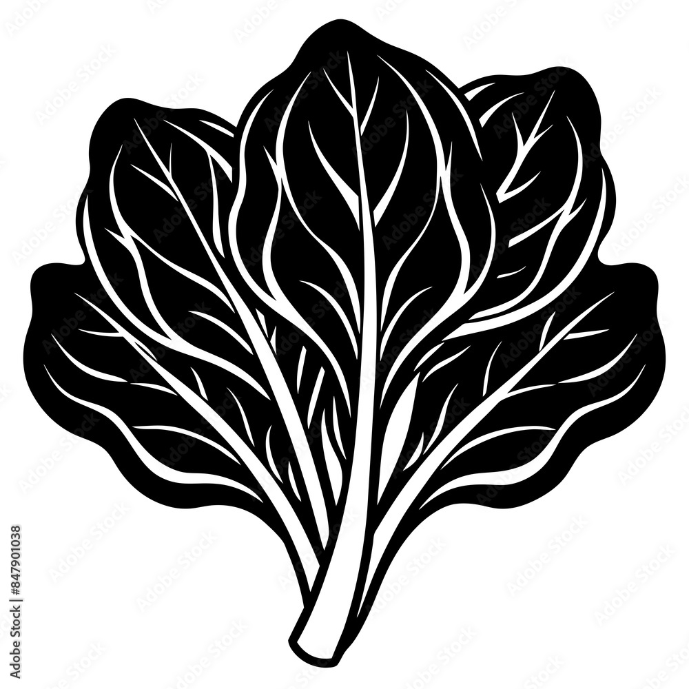 Spinach vector silhouette illustration svg file Spinach vector silhouette illustration svg file