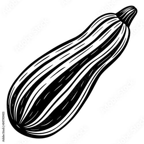 Zucchini vector silhouette illustration svg