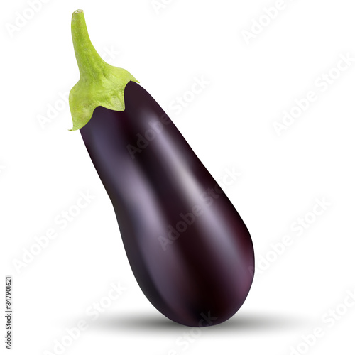 Vector image of eggplants on a white background.