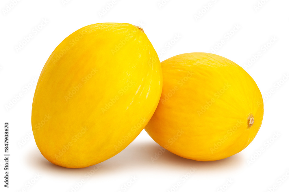 melon path isolated on white melon path isolated on white