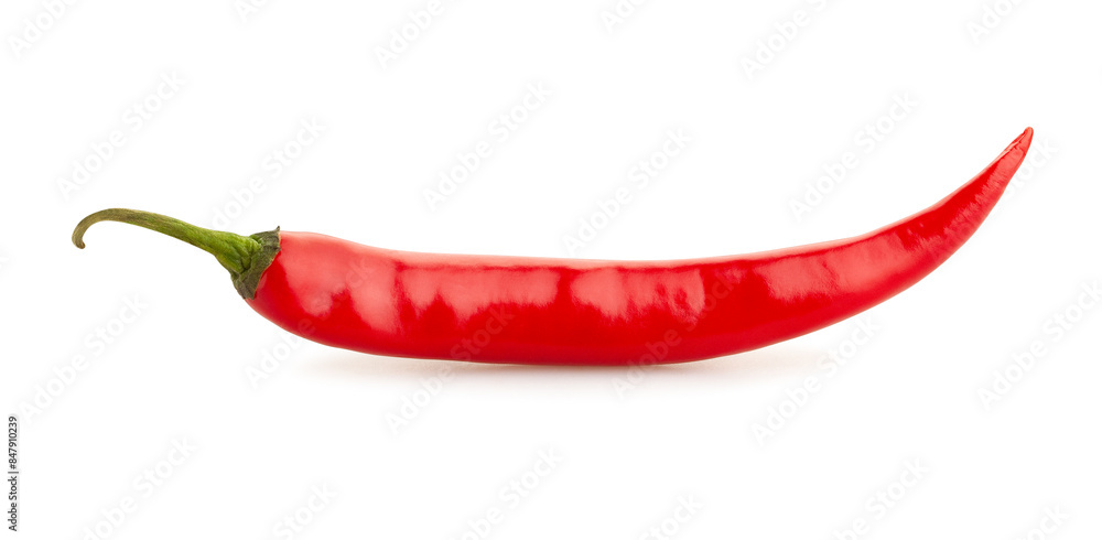 long chili pepper path isolated on white long chili pepper path isolated on white