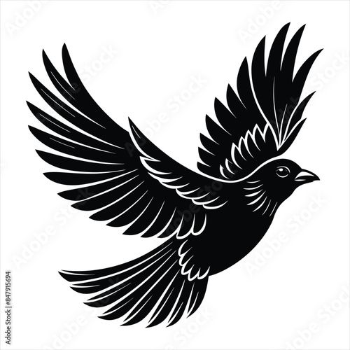 coloring book flying bird silhouette vector art illustration photo