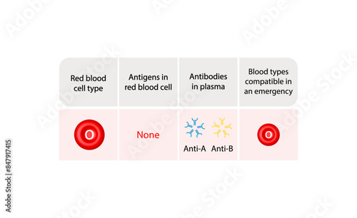 O blood group. Type O antigen. Blood donation. Vector illustration.