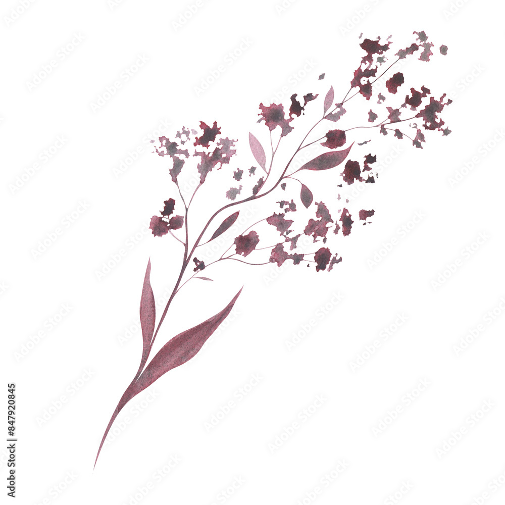 Monochrome burgundy twig with leaves. Hand drawn watercolor illustration. Isolated on white background. For the design and decoration of cards, packaging, invitations and more Monochrome burgundy twig with leaves. Hand drawn watercolor illustration. Isolated on white background. For the design and decoration of cards, packaging, invitations and more
