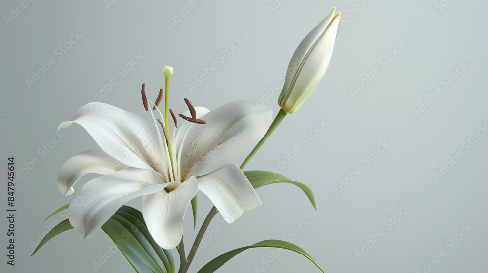 Close-up of yellow orange lily flower and bud against a neutral background, colorful art of ikebana Close-up of yellow orange lily flower and bud against a neutral background, colorful art of ikebana