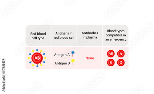 AB blood group. Type AB antigen. Blood donation. Vector illustration