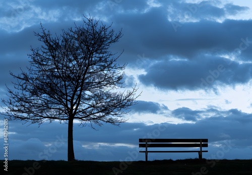 Leafless Tree and Empty Bench Under Cloudy Dark Blue Sky