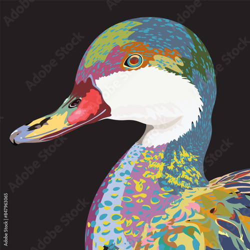 Colorful Mandarin duck head isolated surrealism graphic illustrated on black background. photo