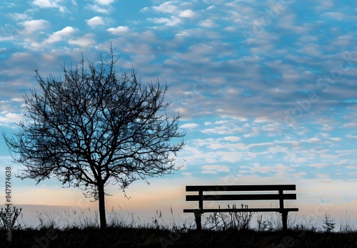 Silhouette of Tree and Bench Against Cloudy Sky at Sunrise