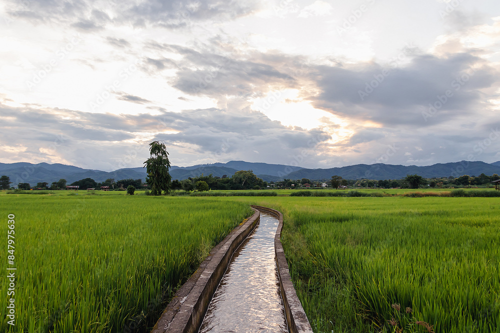 Sunset behind the mountains and green rice field with irrigation is used to water rice fields. Sunset behind the mountains and green rice field with irrigation is used to water rice fields.