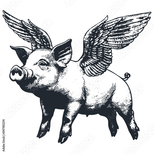 Flying pig with wings, vector illustration