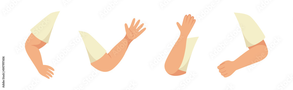 Boy Arm and Hand Gesture as Character Constructor with Separated Body Part Vector Set Boy Arm and Hand Gesture as Character Constructor with Separated Body Part Vector Set