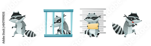 Raccoon Burglar with Striped Tail Wearing Mask Stealing and Hacking Vector Set