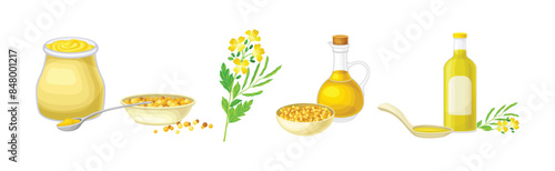 Mustard Plant with Seeds and Yellow Flower Vector Set