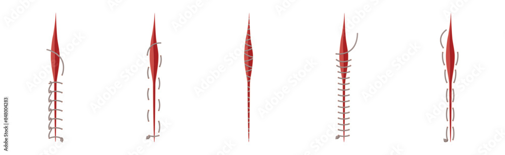 Baseball Stitches and Red Lace with Loop of Thread Isolated on White Background Vector Set Baseball Stitches and Red Lace with Loop of Thread Isolated on White Background Vector Set