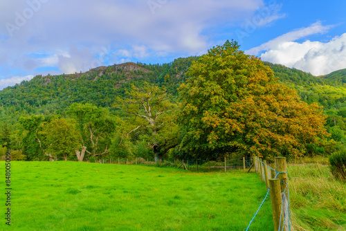 Obraz na płótnie Trees, grass, and mountains, the Lake District w salonie