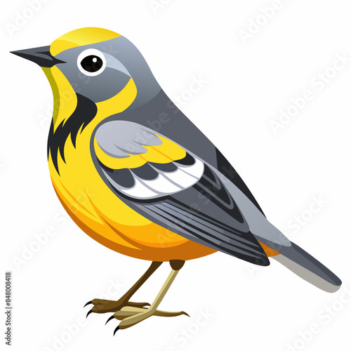 warbler vector illustration, white background © ArtfuIInfusion769