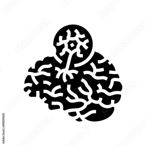 tay sachs disease glyph icon vector. tay sachs disease sign. isolated symbol illustration photo