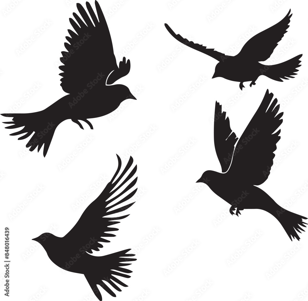 Obraz premium set of silhouettes of birds