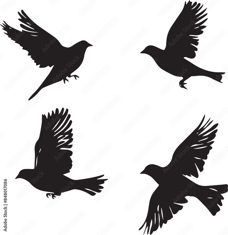 silhouettes of birds silhouettes of birds