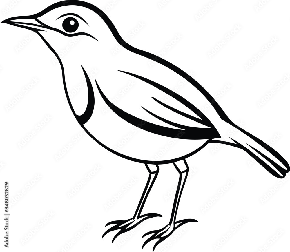 Obraz premium Hand drowing for kids coloring page vector illustration