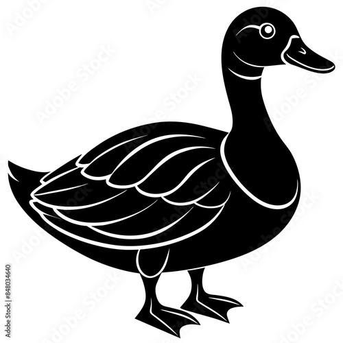 vector illustration of a duck