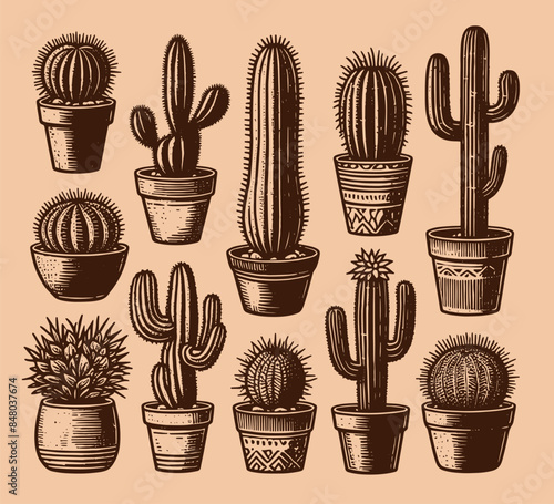 Cactus in a pot set. Different types. Vintage black engraving illustration. Monochrome vector icon. Isolated and cut out	