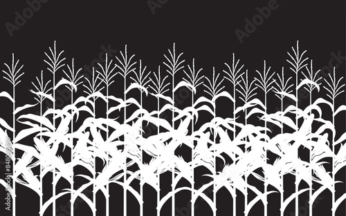 white corn field illustration on black background