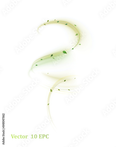 Green bright wind lines swirl in a circle with flying particles of green leaves on a white background. Light effect for perfume design.