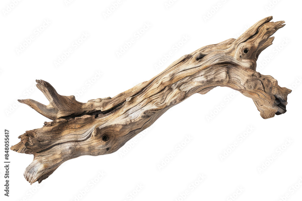 Fototapeta premium Driftwood dream minimalistic isolated on transparent background