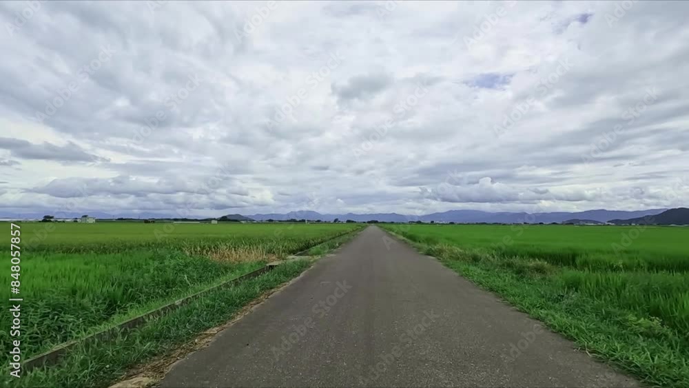 田んぼの中の真っすぐな道をバイクで駆け抜ける 田んぼの中の真っすぐな道をバイクで駆け抜ける