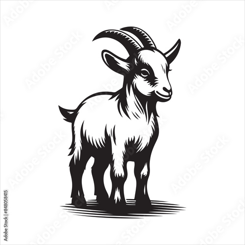 goat vector, illustration © HPK DESIGN STUDIO