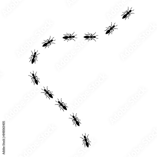 line of black ants hand drawn vector 