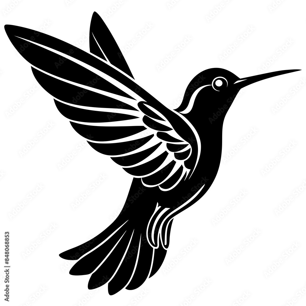 illustration of a Hummingbird illustration of a Hummingbird