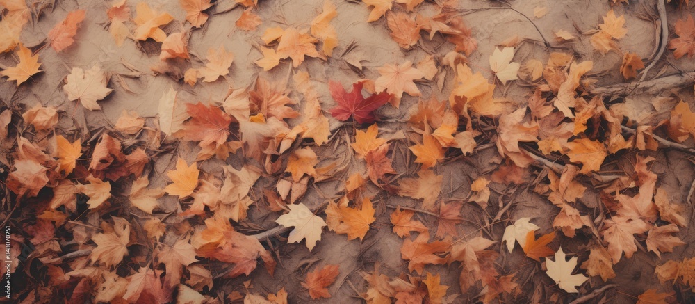 fallen leaves that have dried brown in color in the photo in the flower garden. Creative banner. Copyspace image fallen leaves that have dried brown in color in the photo in the flower garden. Creative banner. Copyspace image